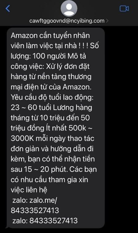 Nở rộ cuộc gọi mạo danh, tin nhắn tuyển dụng lừa đảo - ảnh 2