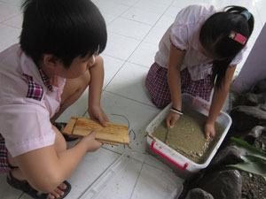 Nơi giáo dục các giá trị sống