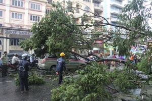 Nỗi lo đường ngập, cây ngã mùa mưa