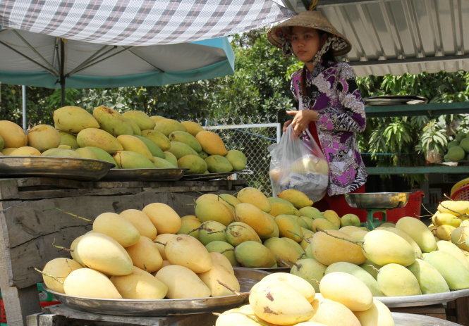 Nông dân lao đao vì thông tin thất thiệt 