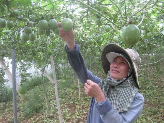 Lâm Đồng: 45 xã đạt chuẩn nông thôn mới