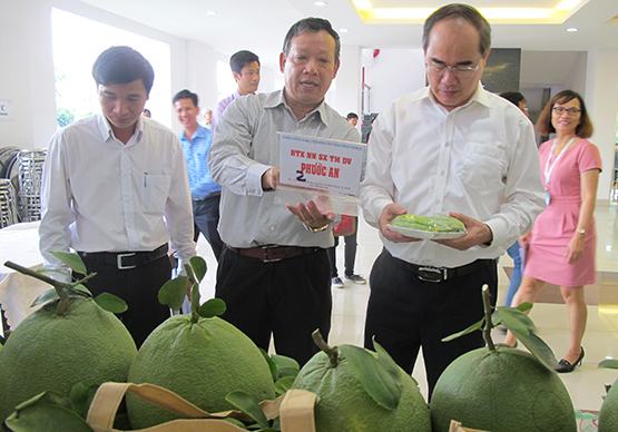 TP.HCM: Phải trở thành trung tâm giống cây của vùng