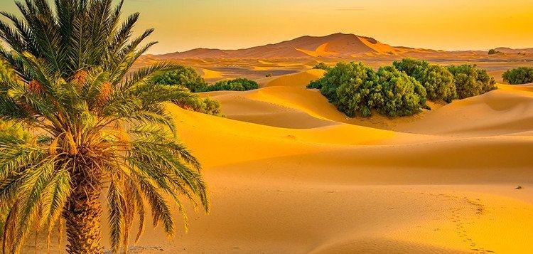 Phải chăng chính con người đã biến Sahara thành sa mạc?