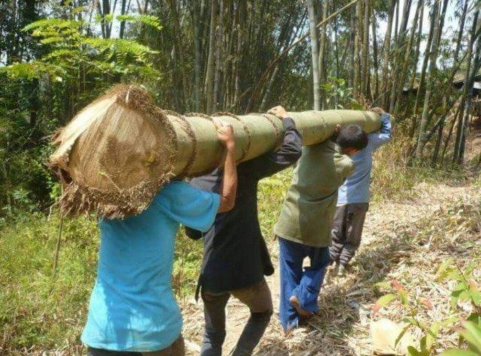 Một thân tre phải cần đến 4 người khiêng.