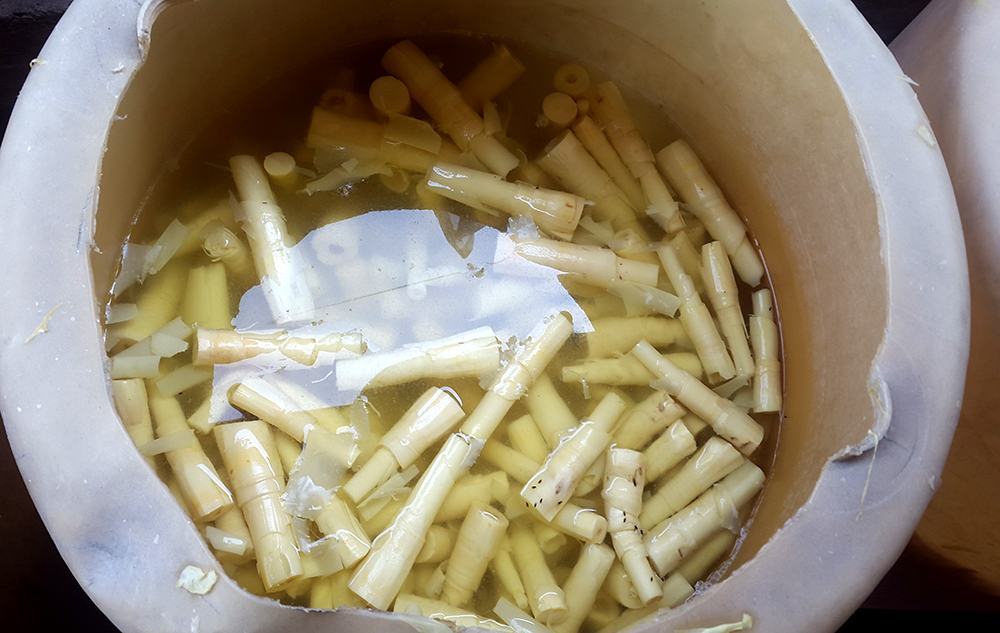 Còn cơ sở kinh doanh măng tươi sử dụng chất vàng ô