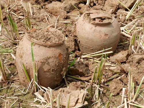 Phát hiện hàng trăm cổ vật tại thành nhà Hồ