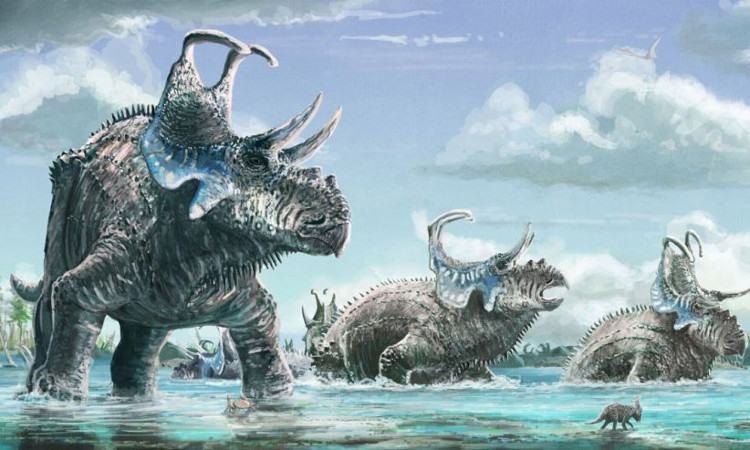 Hình vẽ mô phỏng loài khủng long mới Machairoceratops cronusi.