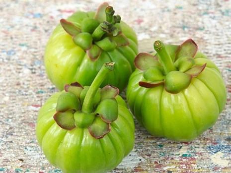 Phát hiện hợp chất trị sỏi thận có trong quả bứa