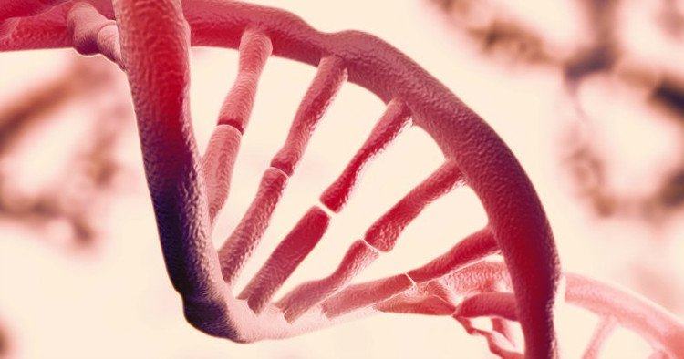 Cách DNA gấp quan trọng ngang với bản thân các mã hóa di truyền trong DNA