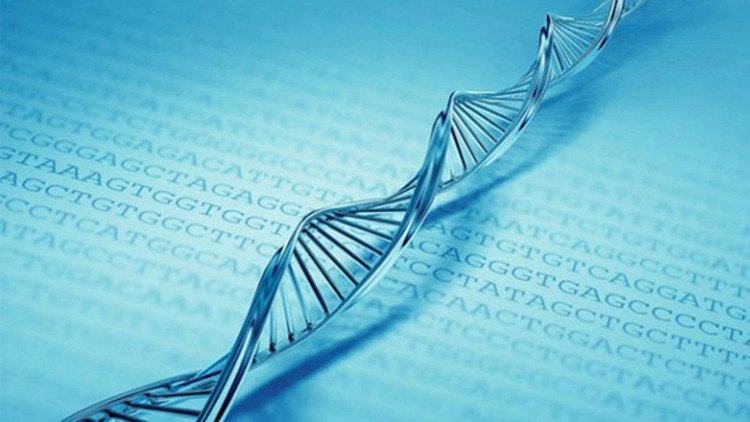 Cách xếp gấp DNA cũng có vai trò điều khiển protein và loại gene biểu hiện trong cơ thể người.