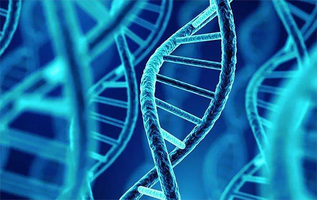 83% DNA của Crawford phù hợp với người Mỹ bản địa.