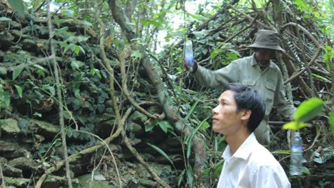 Phát hiện thành lũy bằng đá ở Hà Tĩnh