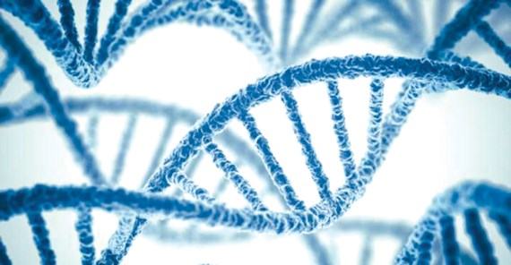 Phát hiện thêm 72 biến thể gien