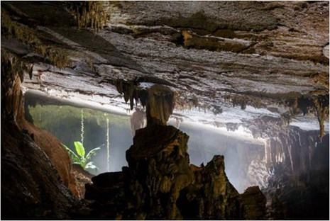 Phát hiện thêm nhiều hang động độc đáo tại Phong Nha - Kẻ Bàng - ảnh 17