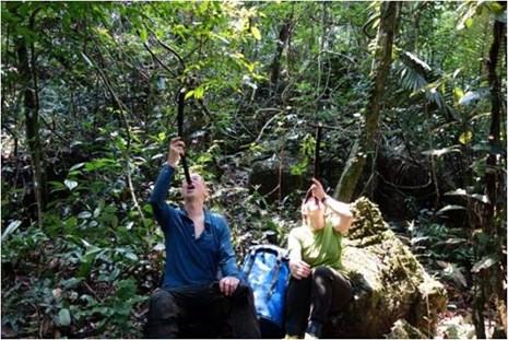 Phát hiện thêm nhiều hang động độc đáo tại Phong Nha - Kẻ Bàng - ảnh 4