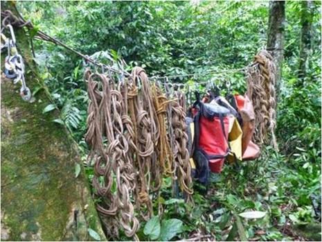 Phát hiện thêm nhiều hang động độc đáo tại Phong Nha - Kẻ Bàng - ảnh 5