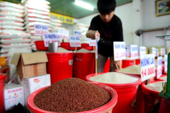 Phòng bệnh bằng... gạo 