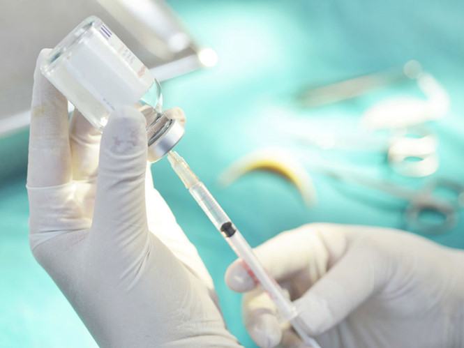  /// Ảnh: Shutterstock