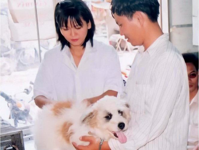 Công nhận 8 quận an toàn bệnh dại