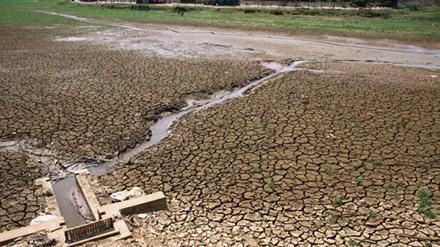 Quảng Trị: Nóng 41 độ C, mua nước, khoan giếng