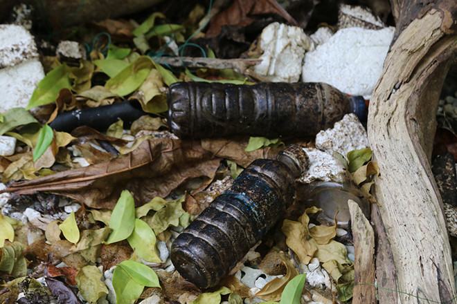 Rác có dính dầu nằm đầy rừng ramsar /// Ảnh: Nguyễn Long