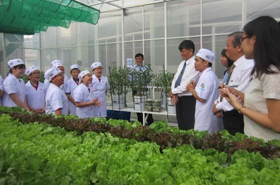 Học sinh trải nghiệm hoạt động thực tiễn