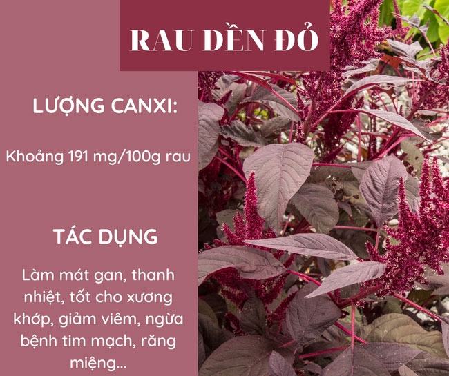 Rau dền đỏ