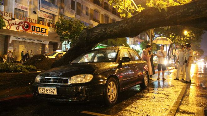 Sài Gòn mưa lớn, cây ngã đè ôtô