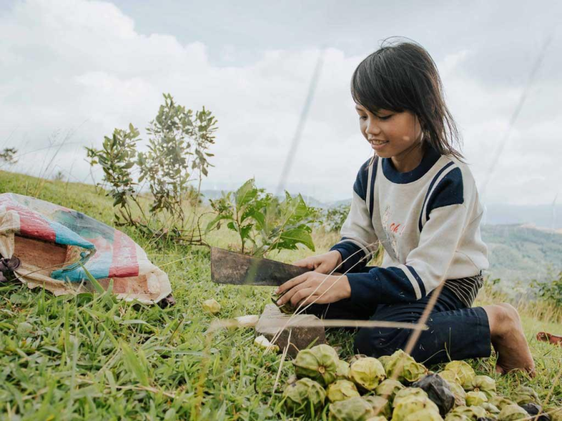 Săn lộc trời: Mùa trẩu trên non - ảnh 4