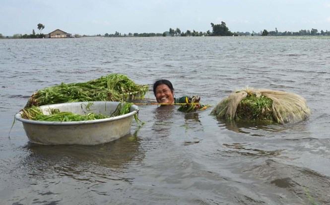 Vất vả, cực nhọc nhưng chị Hà vẫn cười vui vẻ	 /// Ảnh: Hoàng Phương