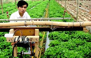 Sáng tạo của cậu học trò lớp 11