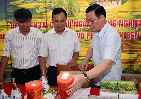 Hàng ngàn sản phẩm đăng ký tiêu chuẩn OCOP