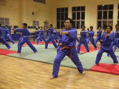 Sẽ đưa môn võ Vovinam vào trường học