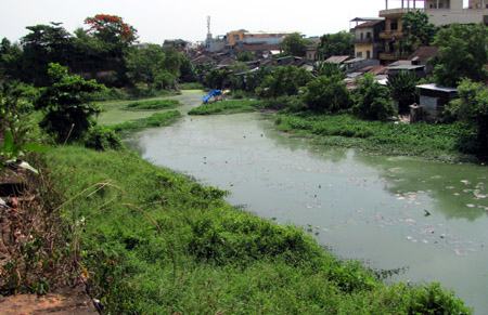 Sĩ tử sốt vó vì mắc sốt xuất huyết trước ngày thi