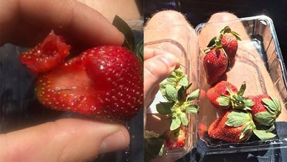 Siêu thị Woolworths ngừng bán kim khâu giữa “cuộc khủng hoảng dâu tươi”