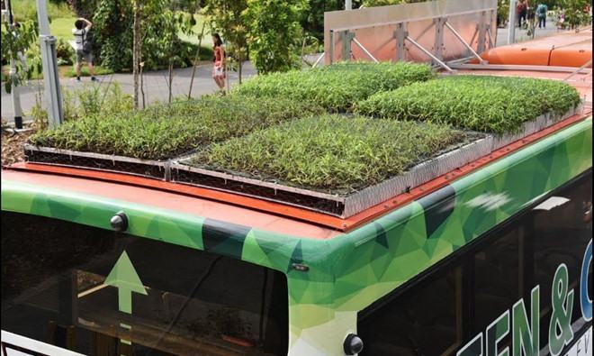 Singapore trồng cây trên xe buýt