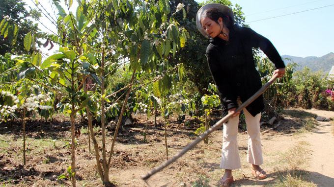 Sinh viên cử tuyển đỏ mắt chờ việc