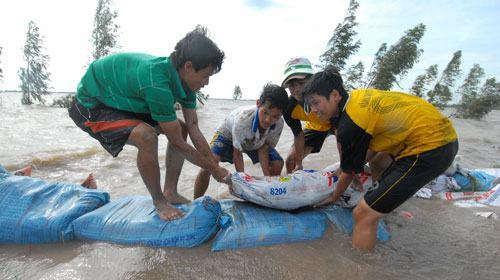 Sinh viên xung phong cứu đê