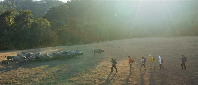 Sợ cả Nhện và Covid-19, phim Việt rút khỏi rạp chiếu