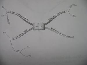 Sơ đồ tư duy trong toán học