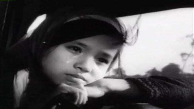 So hoa luu tru phim: Dai dang, kho nhan nhu cuoc chay bat tan hinh anh 3