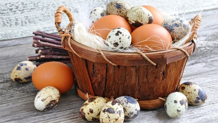 Không có sự khác biệt nhiều giữa các loại trứng gia cầm.