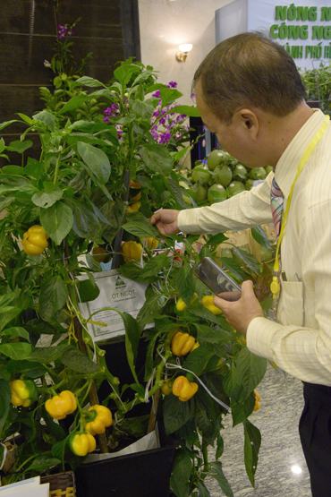 Khoảng 1.000 doanh nghiệp tham dự kết nối cung cầu