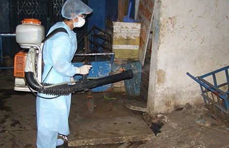 Phạt tiền nếu để phát sinh muỗi gây bệnh SXH