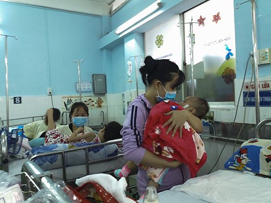 Năm 2017, TP.HCM có 6 ca sốt xuất huyết tử vong