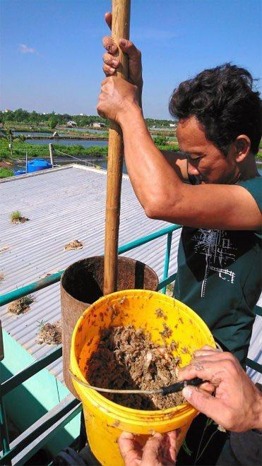 Các nhà nghiên cứu đang trộn bùn ao và rác thải.