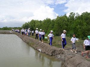 Sử dụng di sản trong dạy – học: Những việc cần làm ngay