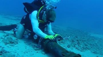 Cáp quang AAG tạm ngưng hoạt động 10 ngày