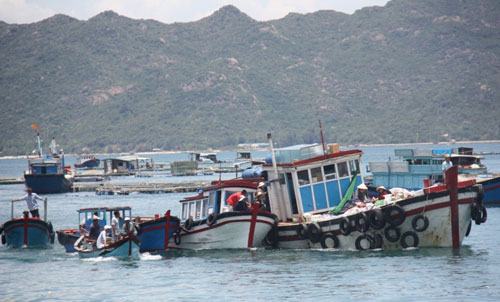 Suýt chìm tàu, hơn 70 hành khách hoảng loạn
