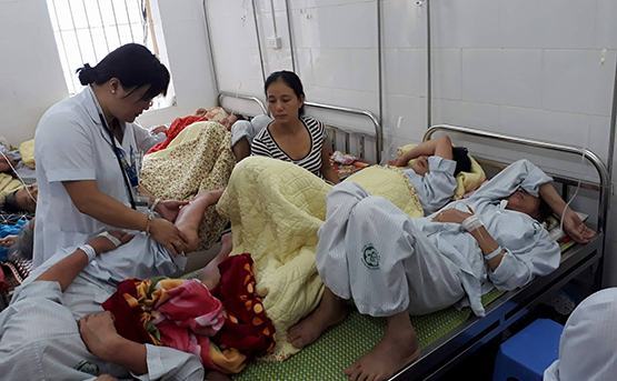Hà Nội: Tìm giải pháp “hạ nhiệt” bệnh sốt xuất huyết